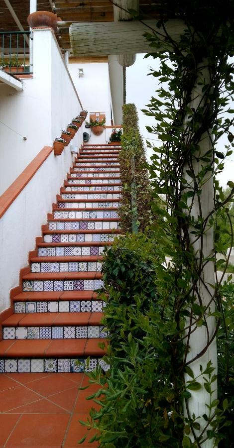 Circeea Beach B&B Сан-Феліче-Чирчео Екстер'єр фото